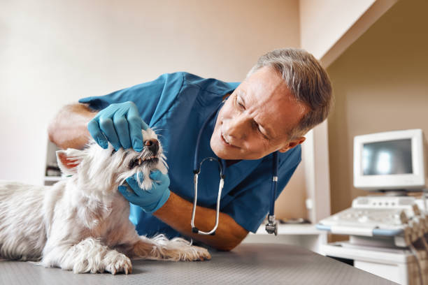 Best Emergency Dental Extractions in Richmond, IN